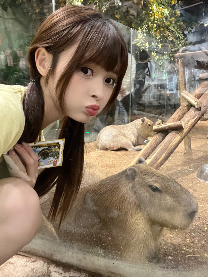 一点就到家 封面